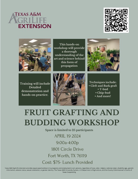 Fruit Grafting and Budding Workshop