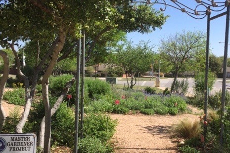 image of Native Plant Garden at SW Library