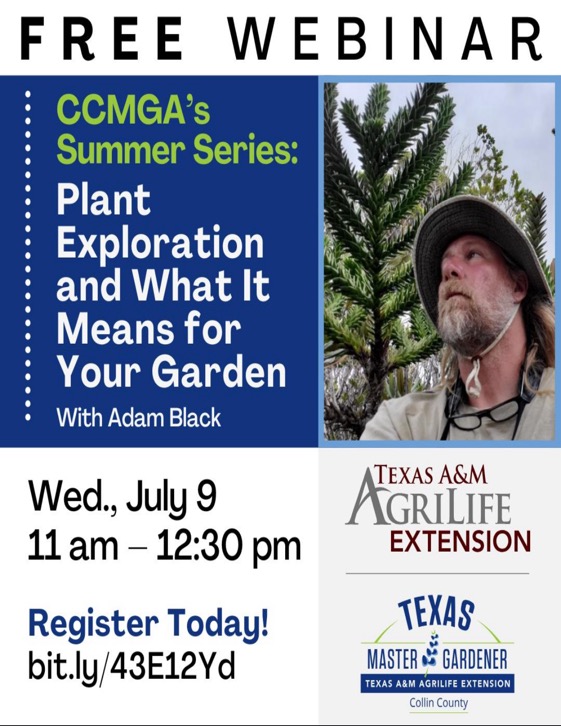 Plant Exploration 9Jul25