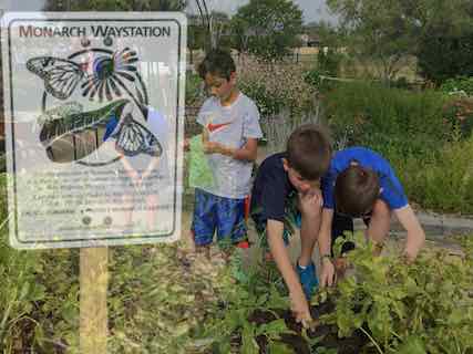 Durham Intermediate garden