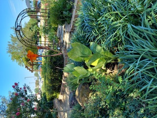 Keller Gardenx