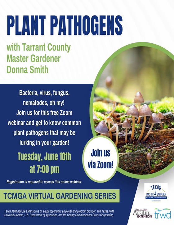 Plant Pathogens 10Jun25