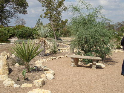 Cactus and Succulent Garden