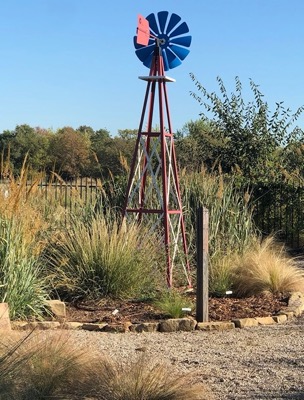 Native Grasses Garden