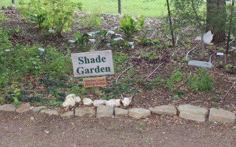 Shade Garden