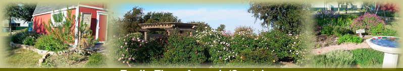 tcmga_new_website006001.jpg
